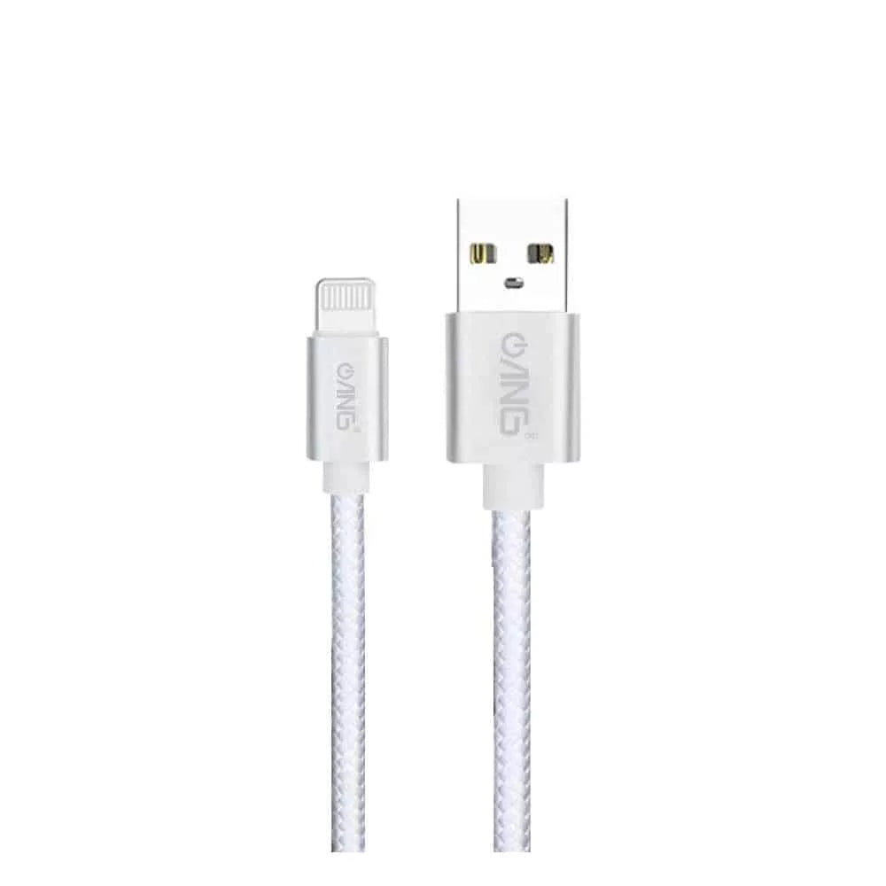 Nylon Braided ANG Lightning 1M 2.0A USB Fast Charge / Sync Cable - Silver